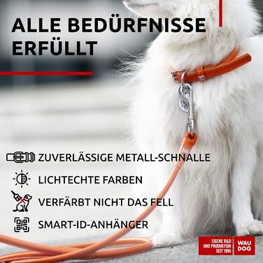 Стильний шкіряний нашийник для собак WAUDOG: для маленьких, середніх та великих порід, 20-25 см, 8 мм, помаранчевий