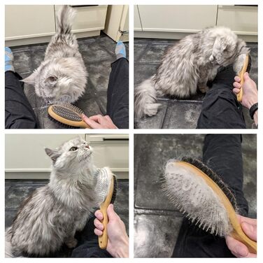 Щітка для собак та котів: для довгої та короткої шерсті, подвійна щітка, м'яка щітка для цуценят, собак та котів