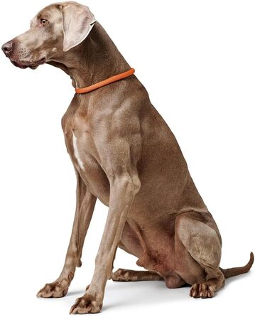 Нашийник для дрессури HUNTER FREESTYLE, червоний, розмір M. Міцний, з нейлоновим тросом, стійкий до погодних умов, для тренувань та повсякденного використання.