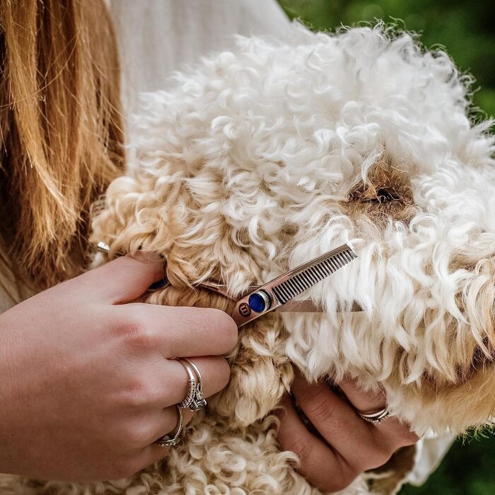 Ножиці Mikki Doodle для грумінгу собак та цуценят: витончене вирівнювання обличчя та лап, професійна якість