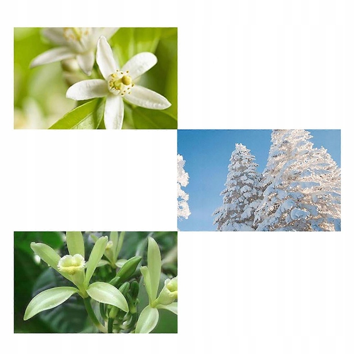 Чоловіча туалетна вода Dior Fahrenheit, 100 мл