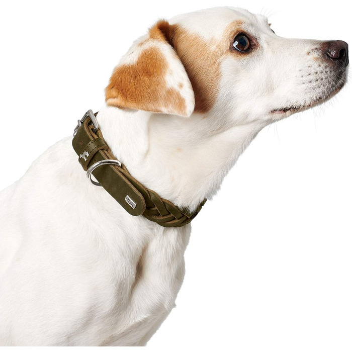 Нашийник для собак HUNTER SOLID EDUCATION SPECIAL, шкіряний, міцний, ручної плетіння, розмір S (45 см), оливковий колір