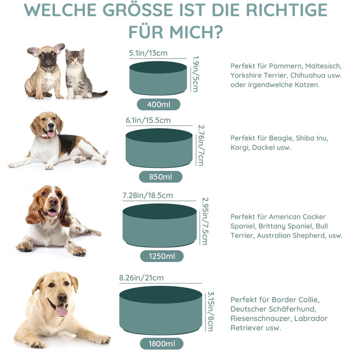 Керамічна миска для собак та котів SPUNKYJUNKY, 850 мл, темно-зелена (2 шт.)