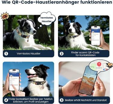 Набір повідка та нашийника для собак, регульований, чорний, S (28–43 см, 1.5 м)