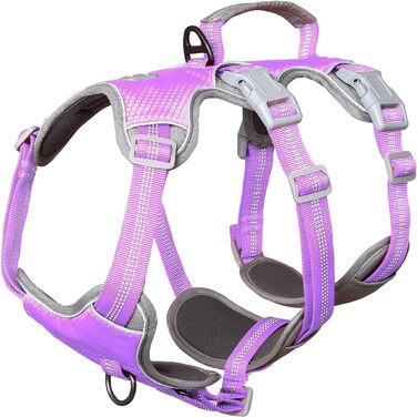 Нашийник для собак Huntboo, великих порід, анти-вислизання, світловідбиваючий, водонепроникний, регульований, для прогулянок та бігу (L, фіолетовий лаванда)