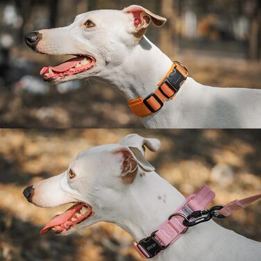 Нашийник для собак OneTigris з металевою застібкою Ranger Green (S)