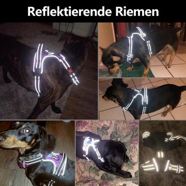 Шлейка для собак PHOEPET No Pull, чорна, розмір L - шлейка для прогулянок без натягування, з контролем та світловідбиваючими смугами