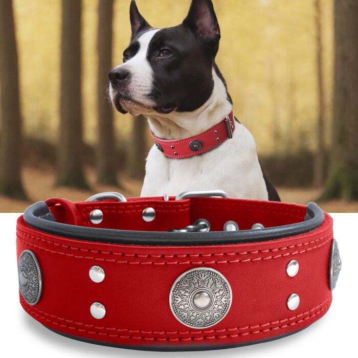 Leather Dog Collar, 5 cm Wide Durable Genuine Leather Collar, Handcrafted, Soft and Luxurious, Eye-Catching Best Choice for Large and Medium Dog Breeds (42-52 cm, red)