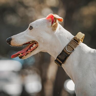 Нашийник для собак OneTigris з металевою застібкою Ranger Green (S)