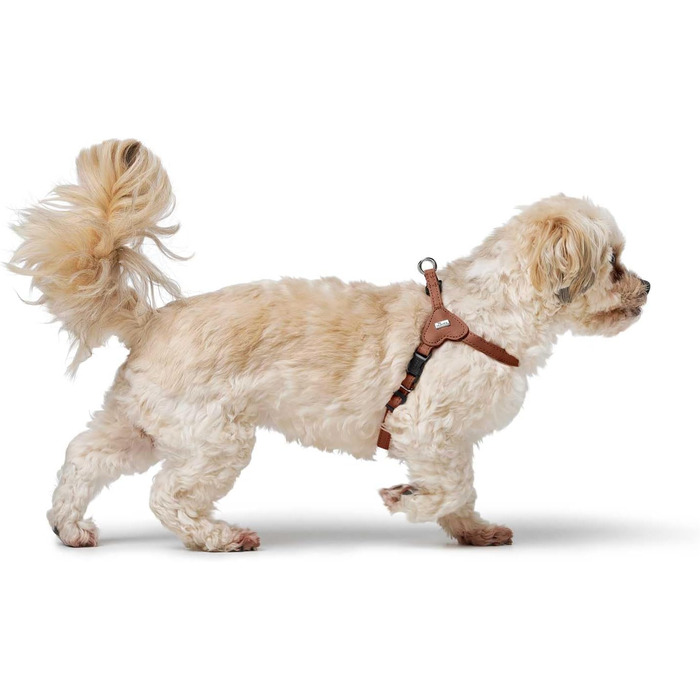 Нашийник для собак HUNTER SOHO MINI, колір: коричневий (cognac), шкіра, для маленьких собак та цуценят, Made in Germany, розмір XS