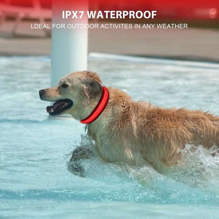 Світловідбиваючий нашийник для собак AUAUY LED, USB-зарядка, водонепроникний, регульований, безпечний, 6 кольорів (-S), S(11.8-15.7'/30-40 cm) (Червоний)