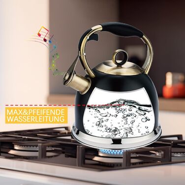 Чайник-свисток 3L з нержавіючої сталі, з термостійкою ручкою, для індукційних плит, чорний