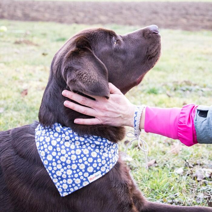 Pettsie Dog Collar with Bandana Cloth and Friendship Bracelet, Adjustable Sizes S, M, and L, Strong and Durable, Great Gift for Dog Lovers in Attractive Packaging, M, Pink (L (18.0 - 26.0 inches), Dark Blue)