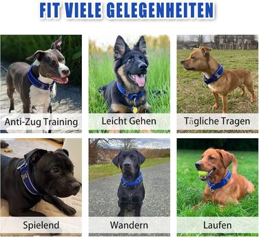 Нашийник для собак з неопрену, 4 см, світловідбиваючий, з нейлону, з зупинячем, зручний, для дресирування, анти-тяга, L, (Темно-синій, обхват шиї 45-56 см)