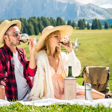 Охолоджувач для вина з кришкою, 750мл, для вина, шампанського, з нержавіючої сталі, подвійні стінки, портативний, для пікніка, подарунок для поціновувача вина, рожевий