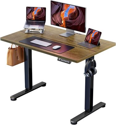 ErGear Electric Standing Desk 100x60cm - Walnut Finish, 4-Memory Smart Desk for Home Office with Mounting Plate