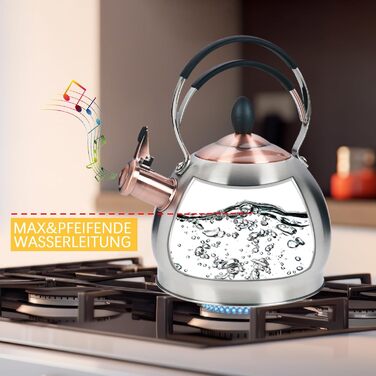 Кришка-свисток з нержавіючої сталі 2.6 л, сумісна з усіма типами плит, включаючи індукційну (срібна)