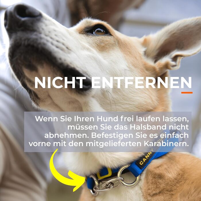 Нашийник-напівобруч Canny Collar для собак – проти ривка | Безпечний та ефективний контроль | Тренувальний аксесуар для спокійних прогулянок | Розмір 5, Чорний, обхват шиї 43-48 см