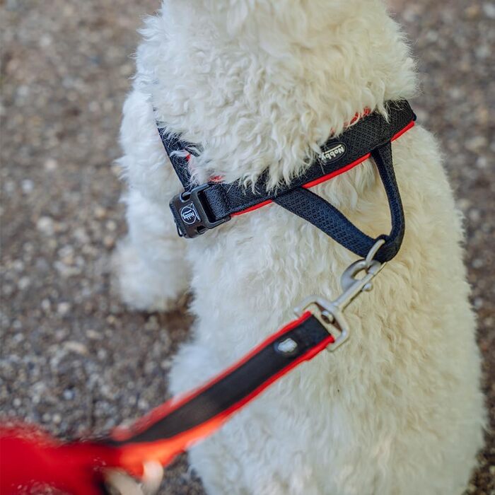 Набір посуду Nobby Norwegergeschirr Mesh Preno, блакитний, розмір L (60-76 см + 46 см; ширина 25/35 мм), 1 шт.