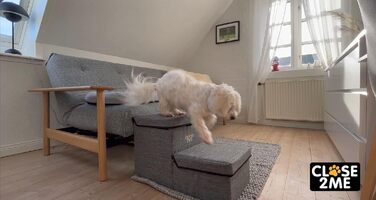 Сходинки для домашніх тварин CLOSE2ME PetStair Deluxe з місцем для зберігання, двоступеневі