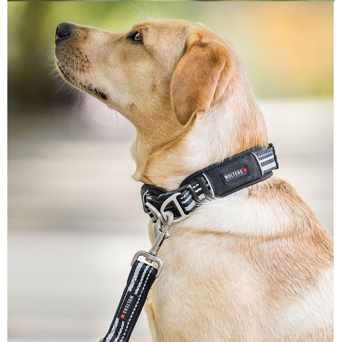 Вольтерс Ошийник Актив Про, розмір 35-40 см, колір шампань/чорний