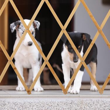 Захисне ґратка для собак Reaxdays: перегородка для дверей та сходів, розсувна, до 116,5 см, 82,5 см висота, натуральне дерево (XL)