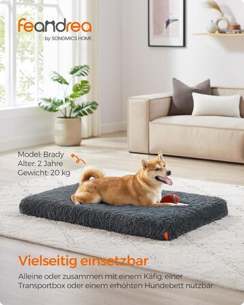 Feandrea Dog Bed, Orthopedic Dog Cushion, padded with egg foam, removable and washable cover, size M, for small and medium dogs, 80 x 50 x 8 cm, PGW211G02 (L 110 x W 73 x H 10 cm, Dark Grey)