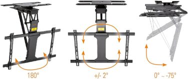 Моторизоване кріплення для телевізора на стелю HL47ML 32-75 дюймів, чорне, з поворотним механізмом 180° та Smart Home управлінням (до 35 кг)