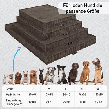 MyBestBuddy Visco Dog Bed M with POSO-Cord fabric, featuring Visco foam and comfort foam flakes, washable at 40°C - Dog bed/Pet bed for small dogs, 70 x 50 cm (80x60 cm, Brown)