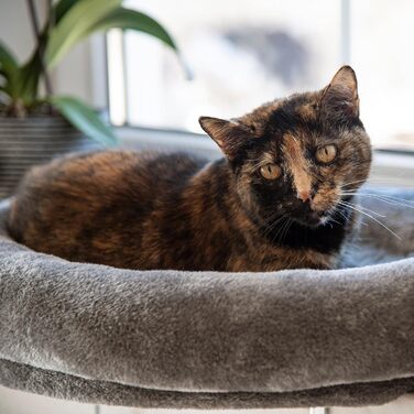 Kerbl Pet Window Hammock, Elevated Resting Place for Cats, Padded Edge, Soft Plush Cover, Sturdy Wooden Construction, Adjustable to Window Sill Depth, 55x35x10 cm, Grey