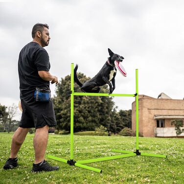 Набір для аджиліті для собак Grün 4X: Слаштом, регульована висота, 104x70x101 см