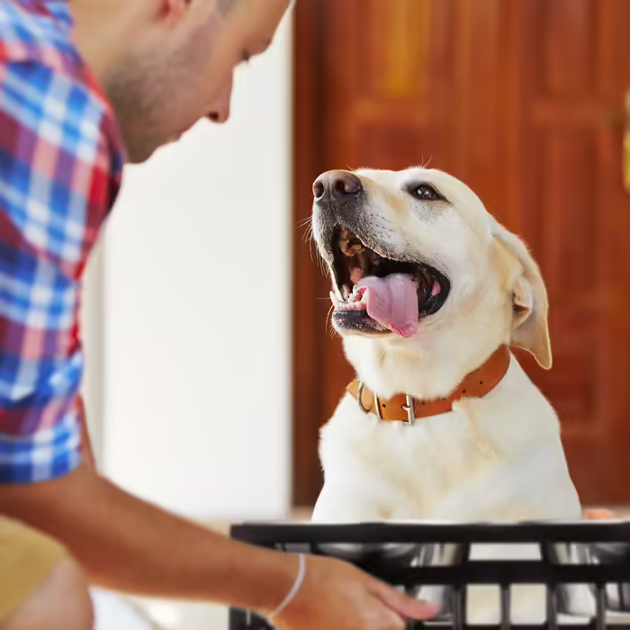 Relaxdays Dog Feeding Station