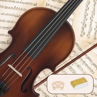 Скрябін Скрипка для початківців Cantabile Student 1/8 (комплект з футляром, смичком та коліфонію)