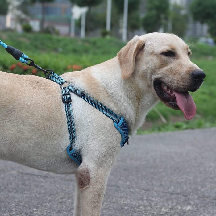 Шлейка для собак середніх та маленьких порід, цуценят, анти-тяга, безпечна, світловідбиваюча, м'яка, регульована (S, блакитна)