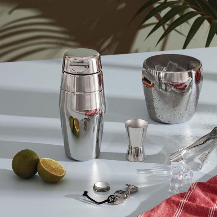 Alessi Shaker, Stainless Steel, Silver, 8.7 x 10 x 51 cm