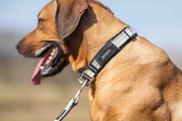 Вольтерс Ошийник Актив Про, розмір 35-40 см, колір шампань/чорний