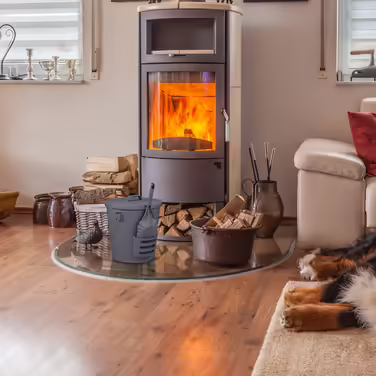 Відро для золи Relaxdays з кришкою та лопатою